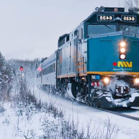 通过铁轨上的火车，白雪覆盖的树木 